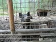 Vyhodnotenie súťaže les ukrytý v knihe - Cimg2735