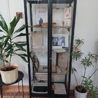 Výstava k 100. výročiu založenia považskej knižnice v považskej bystrici - 20251105_103229