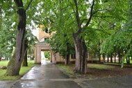DSC_0091 (Kopírovať)