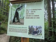 Vyhodnotenie súťaže les ukrytý v knihe - Cimg2717